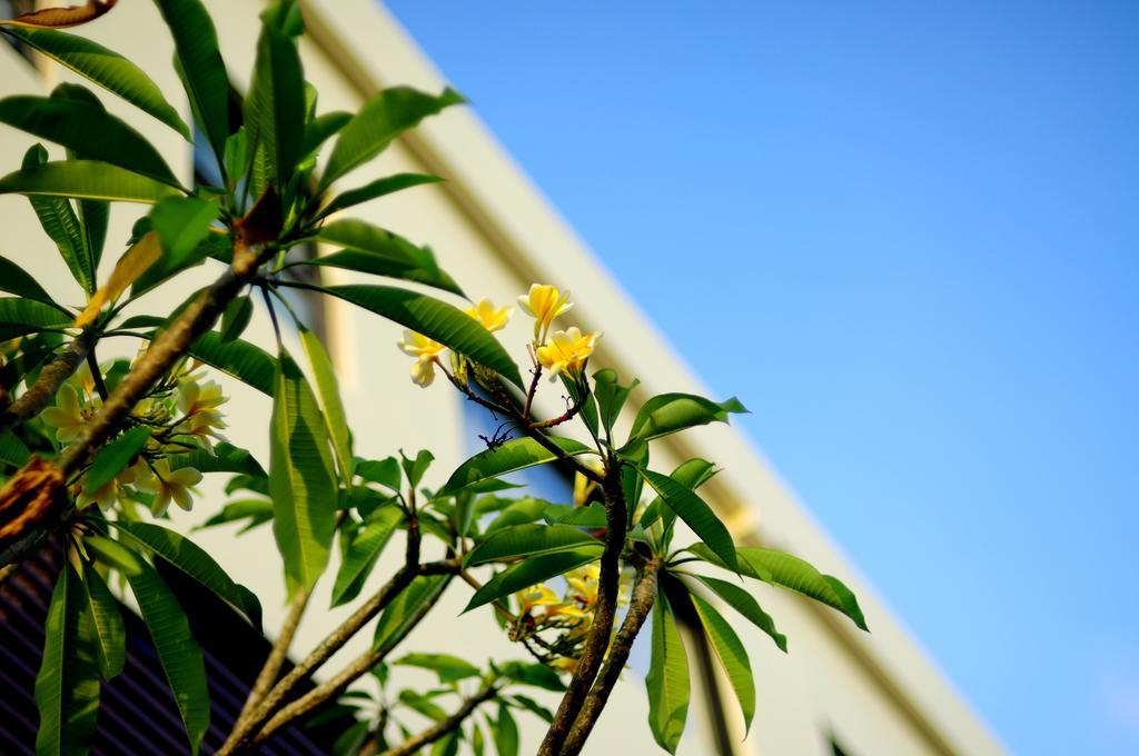 The Hill Ungasan Apartment Uluwatu  Exterior photo